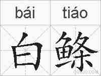白鲦的拼音