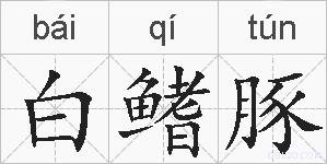 白鳍豚的拼音
