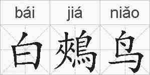 白鵊鸟的拼音