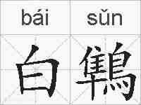 白鶽的拼音