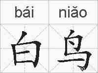 白鸟的拼音