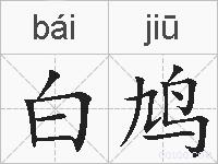 白鸠的拼音