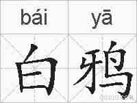 白鸦的拼音