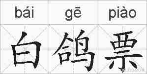 白鸽票的拼音