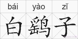 白鹞子的拼音