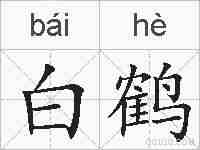 白鹤的拼音