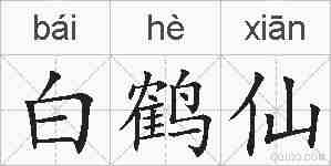 白鹤仙的拼音
