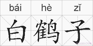 白鹤子的拼音