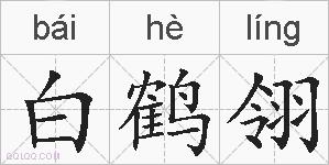 白鹤翎的拼音