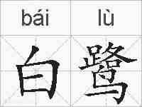 白鹭的拼音