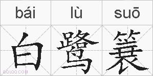 白鹭簔的拼音