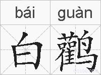 白鹳的拼音