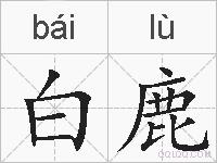 白鹿的拼音