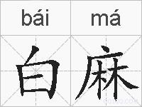 白麻的拼音