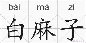 白麻子的拼音
