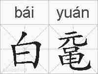 白鼋的拼音