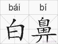 白鼻的拼音