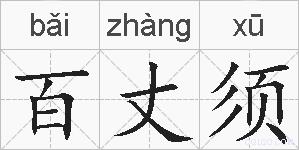 百丈须的拼音