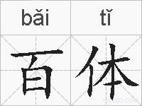 百体的拼音