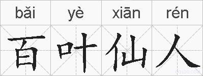 百叶仙人的拼音