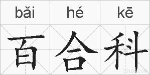 百合科的拼音