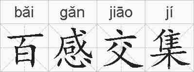 百感交集的拼音