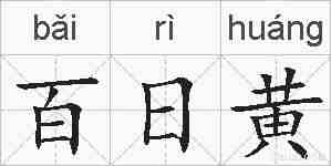 百日黄的拼音