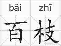 百枝的拼音
