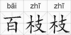 百枝枝的拼音
