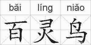 百灵鸟的拼音