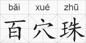 百穴珠的拼音