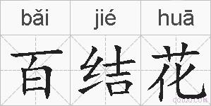 百结花的拼音