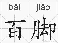 百脚的拼音
