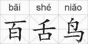 百舌鸟的拼音