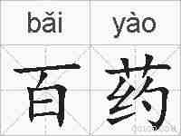 百药的拼音