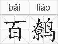 百鹩的拼音