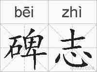碑志的拼音