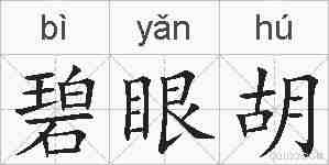 碧眼胡的拼音