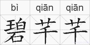 碧芊芊的拼音