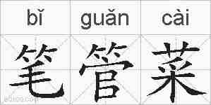 笔管菜的拼音