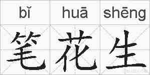 笔花生的拼音
