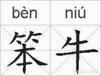 笨牛的拼音