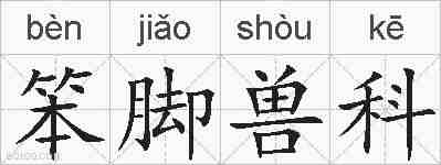 笨脚兽科的拼音