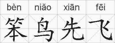 笨鸟先飞的拼音