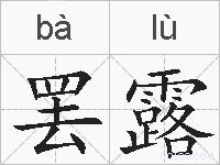 罢露的拼音