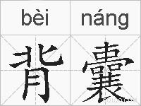 背囊的拼音