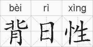 背日性的拼音