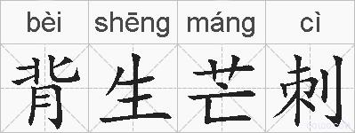 背生芒刺的拼音