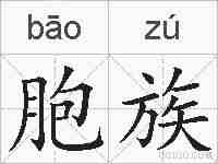 胞族的拼音