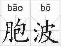 胞波的拼音
